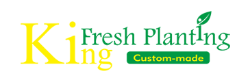 www.kingfresh-planting.com